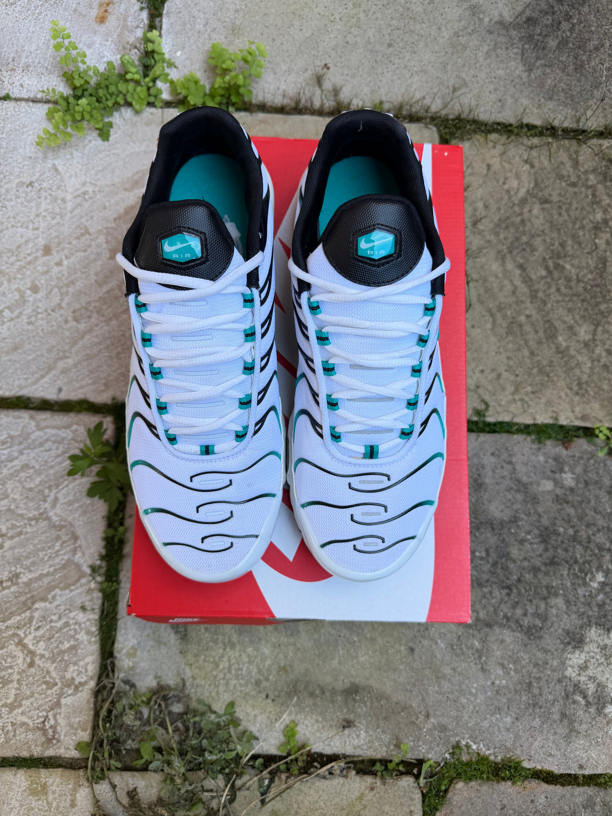 Nike Air Max Plus “Turbo” US10.5 Men’s
