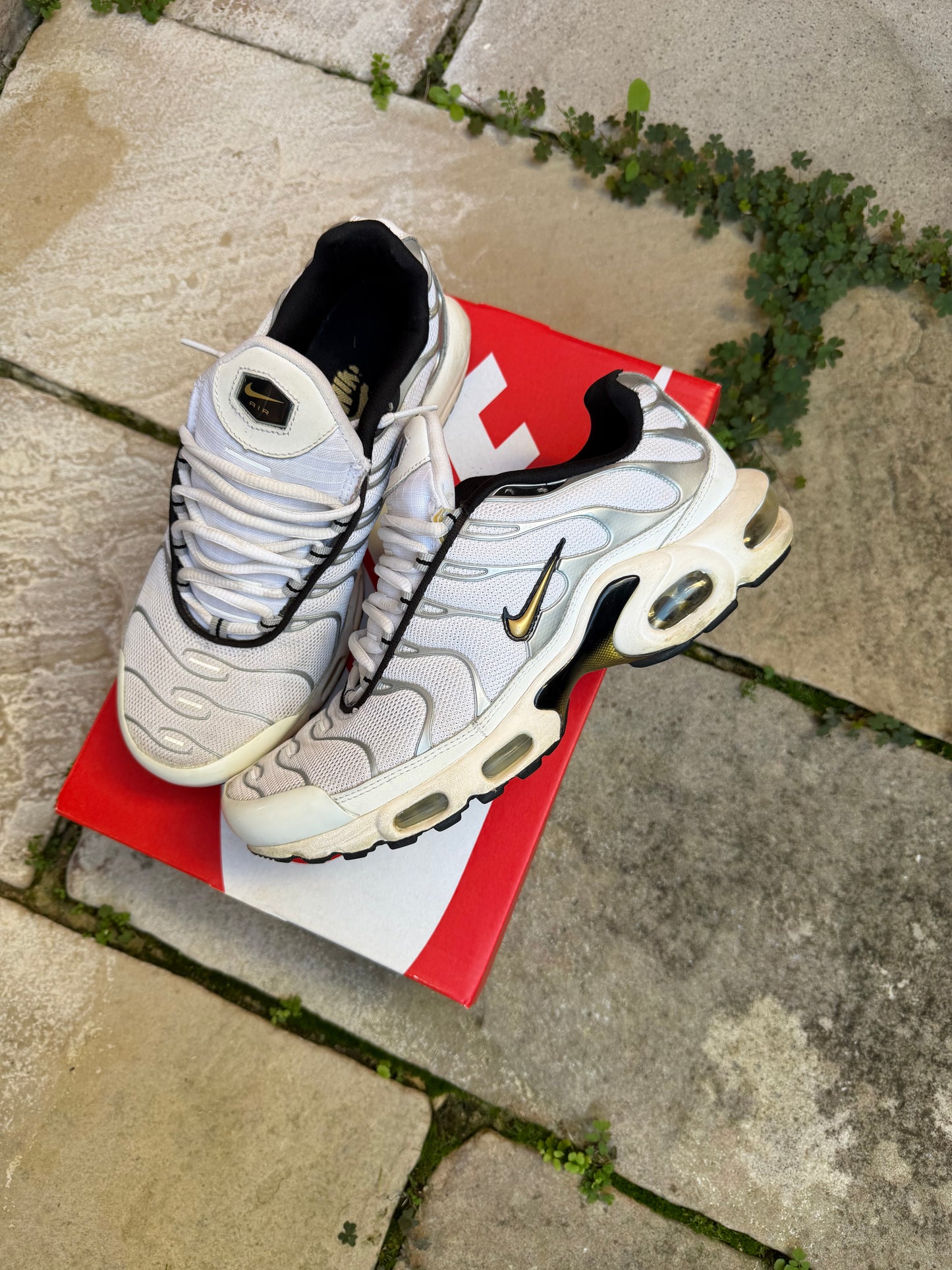 Nike Air Max Plus "Gold Trophies" (2013) US8.5 Men's