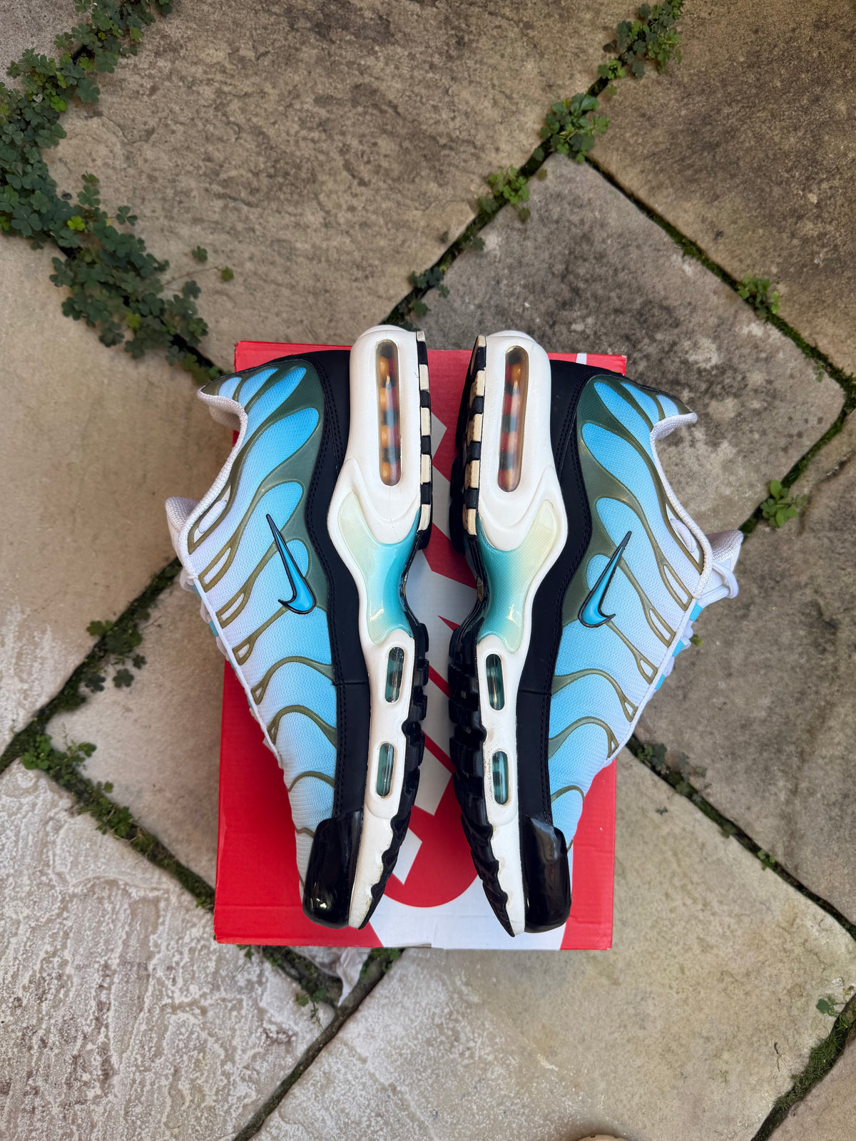 Nike Air Max Plus "Baltic Blue" US11.5 Men's
