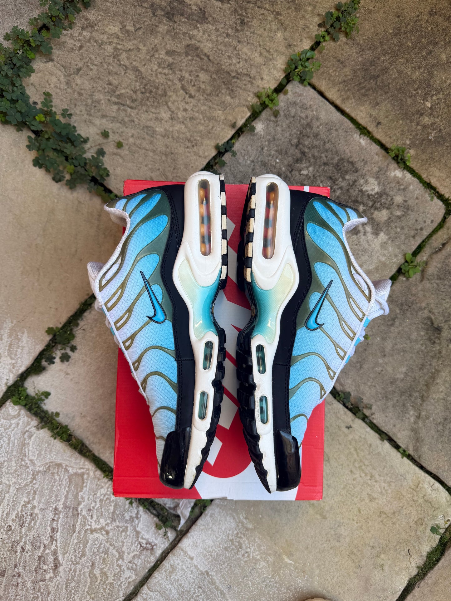 Nike Air Max Plus "Baltic Blue" US11.5 Men's