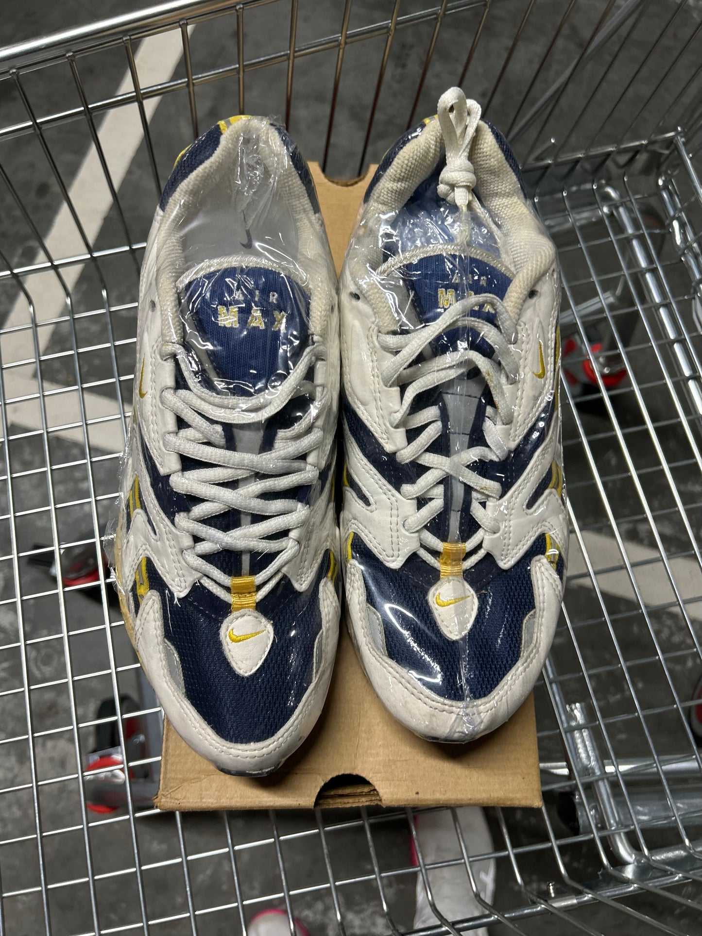 Nike Air Max 96 Golden Rod (1996) US9.5 Men’s