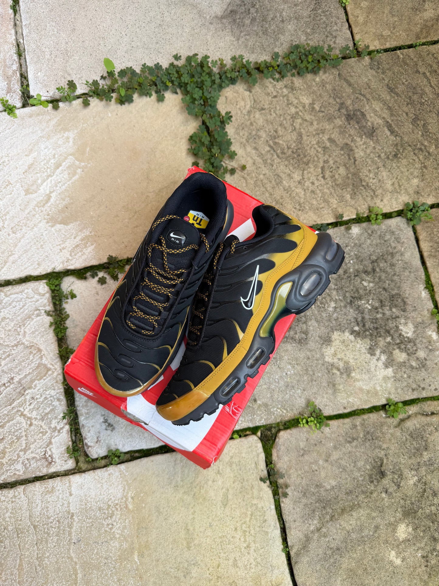 Nike Air Max Plus "Black Bronzine" US10 Men's