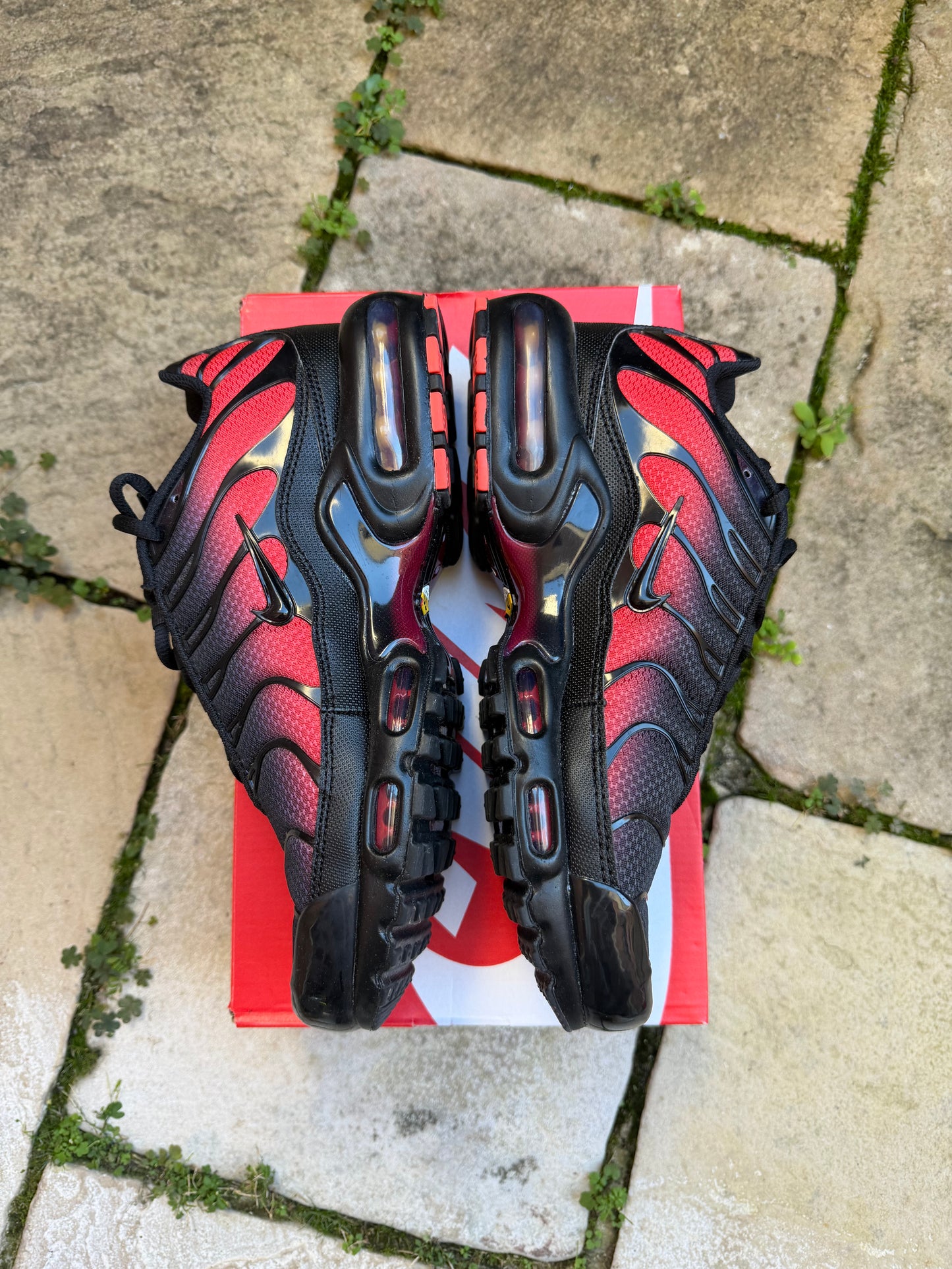 Nike Air Max Plus "Gradient Bred" US8.5 Men's
