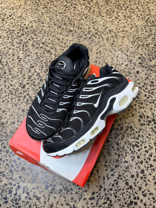 Nike Air Max Plus Frosts US9.5 Mens