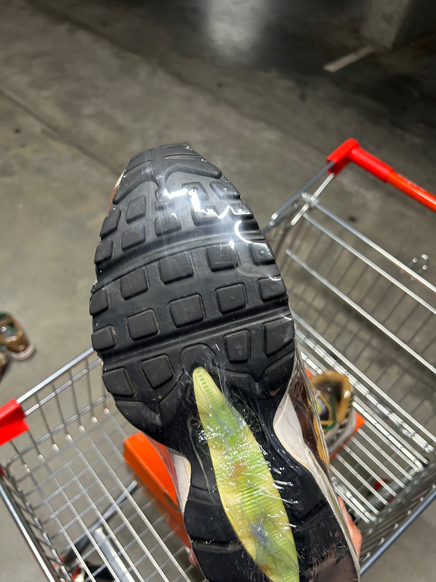 Nike Air Max 95 ATMOS Animal Pack (2006) US13