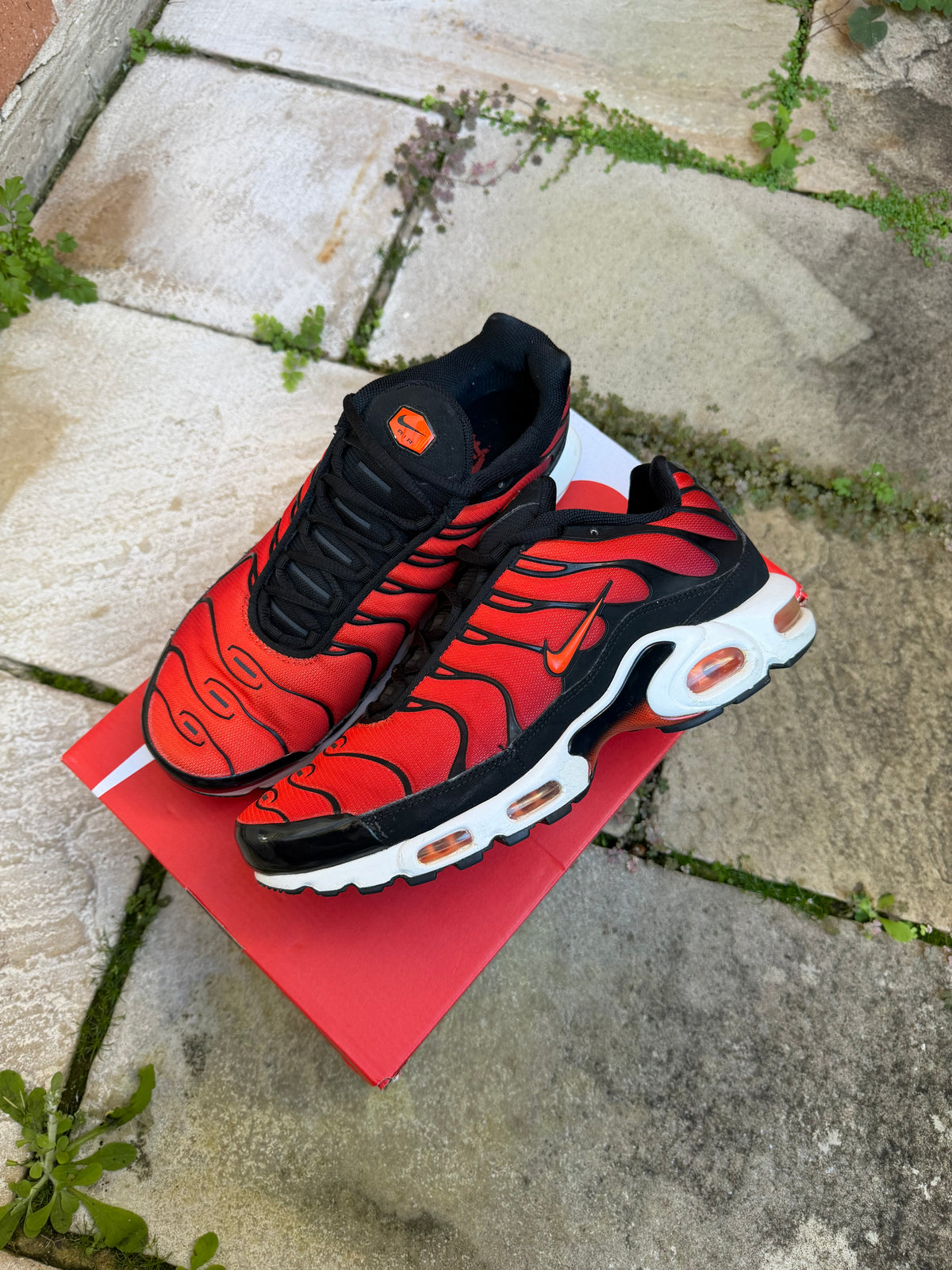 Nike Air Max Plus “Team Red” US10.5 Men's