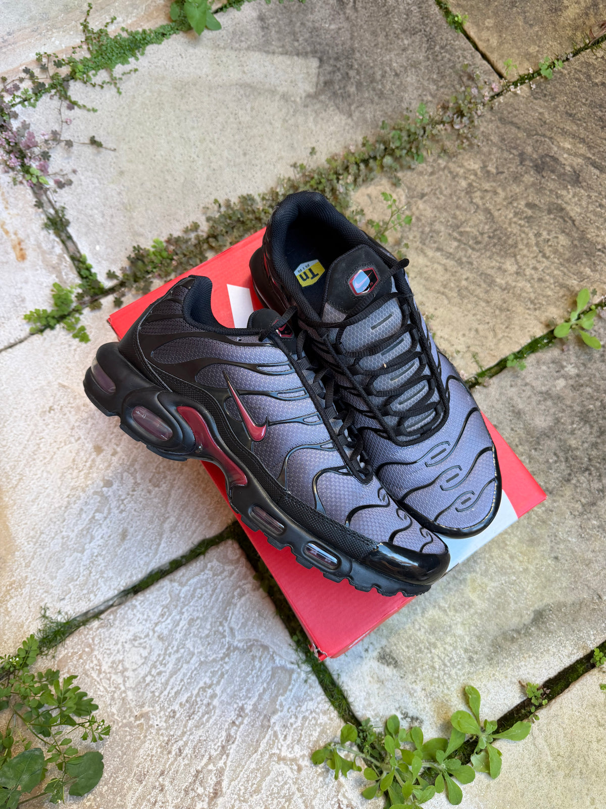 Nike Air Max Plus “Crimsons” US12 Men’s