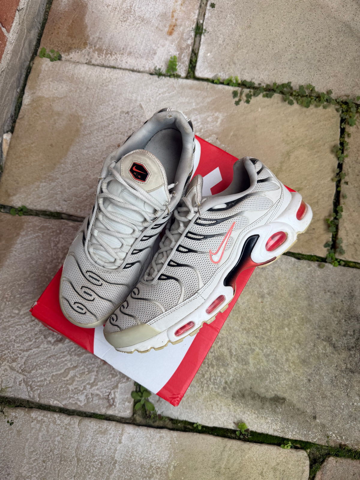 Nike Air Max Plus “Tropical Punch” US10 Men’s