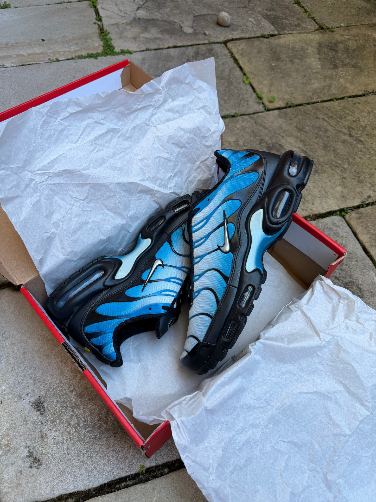 Nike Air Max Plus "Neptune Blue" US11 Men's