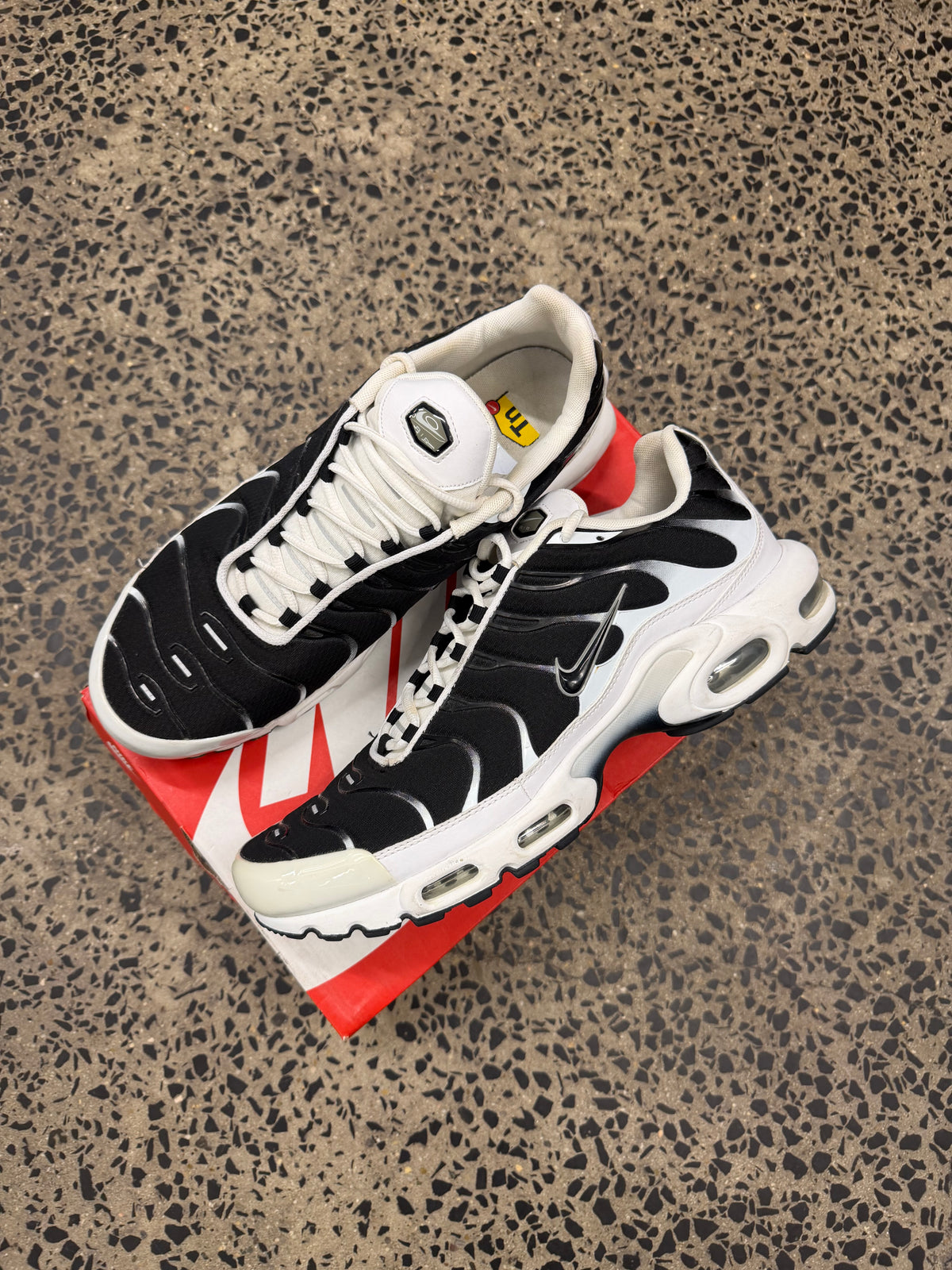 Nike Air Max Plus “Killer Whales” US13 Men’s