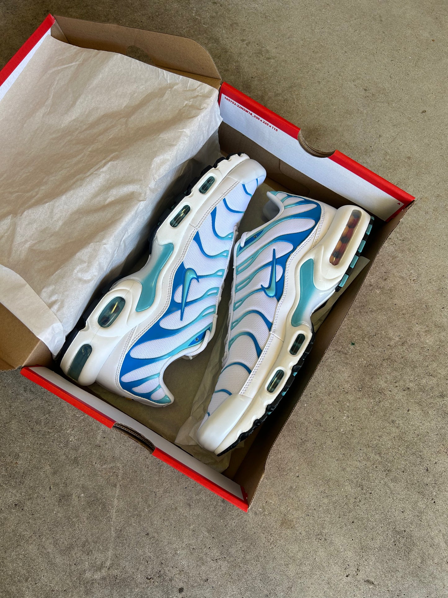 Nike Air Max Plus Dreams US10.5 Men’s