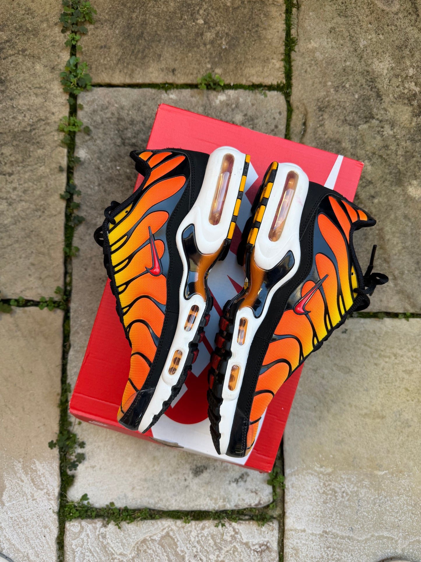 Nike Air Max Plus Tiger 2025 US8.5 Men's
