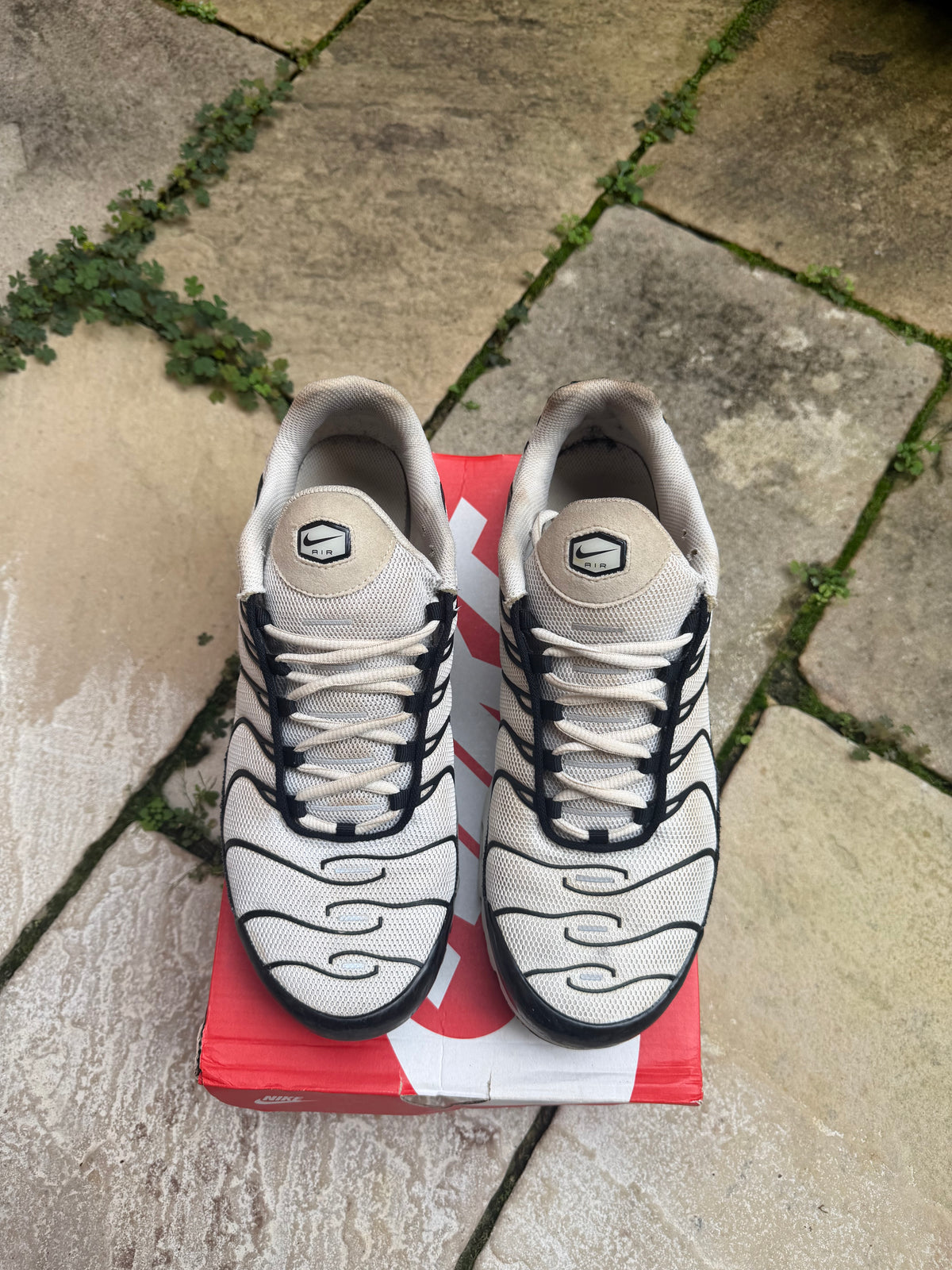 Nike Air Max Plus "Panda" US12 Men's
