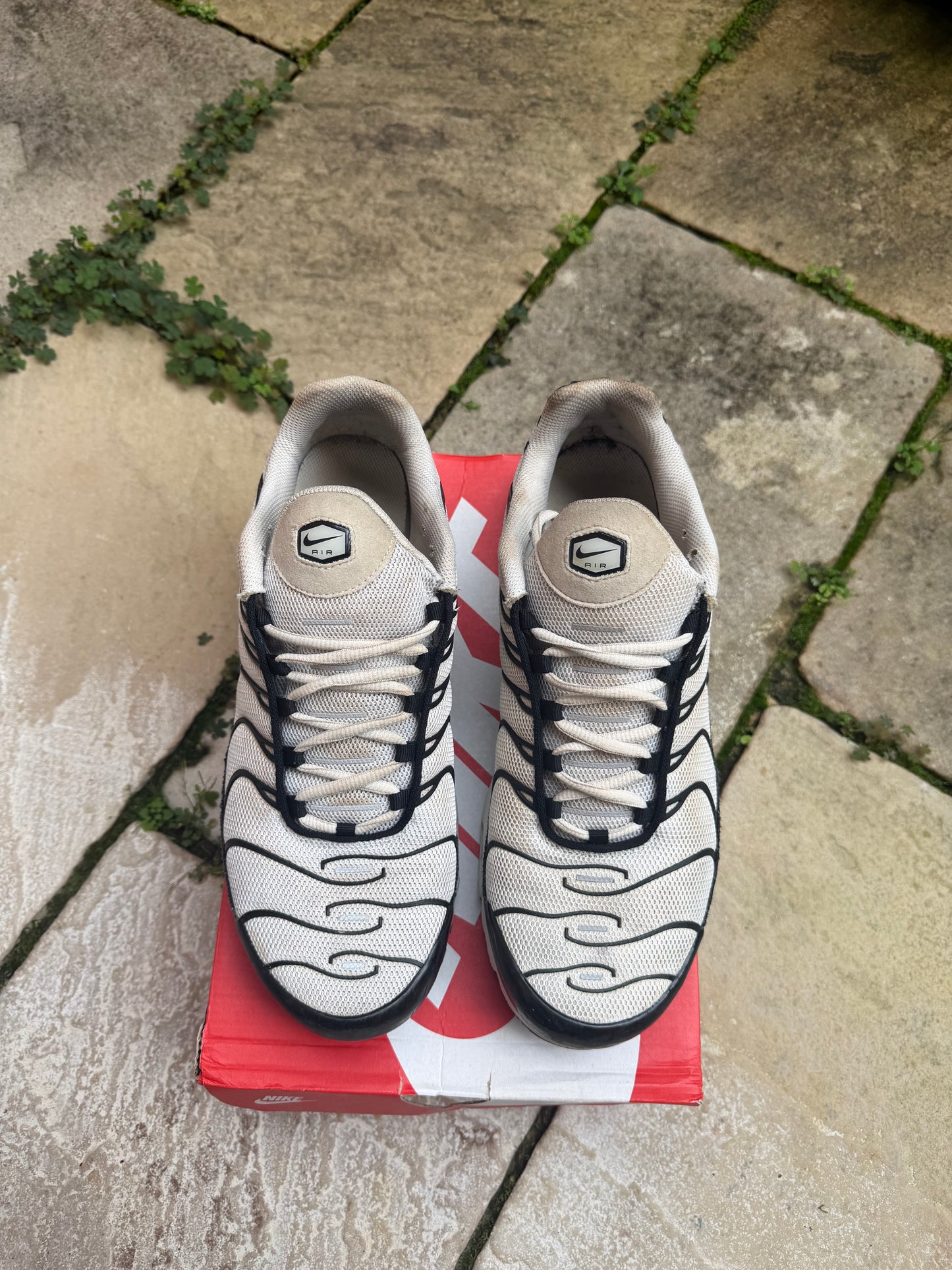 Nike Air Max Plus "Panda" US12 Men's