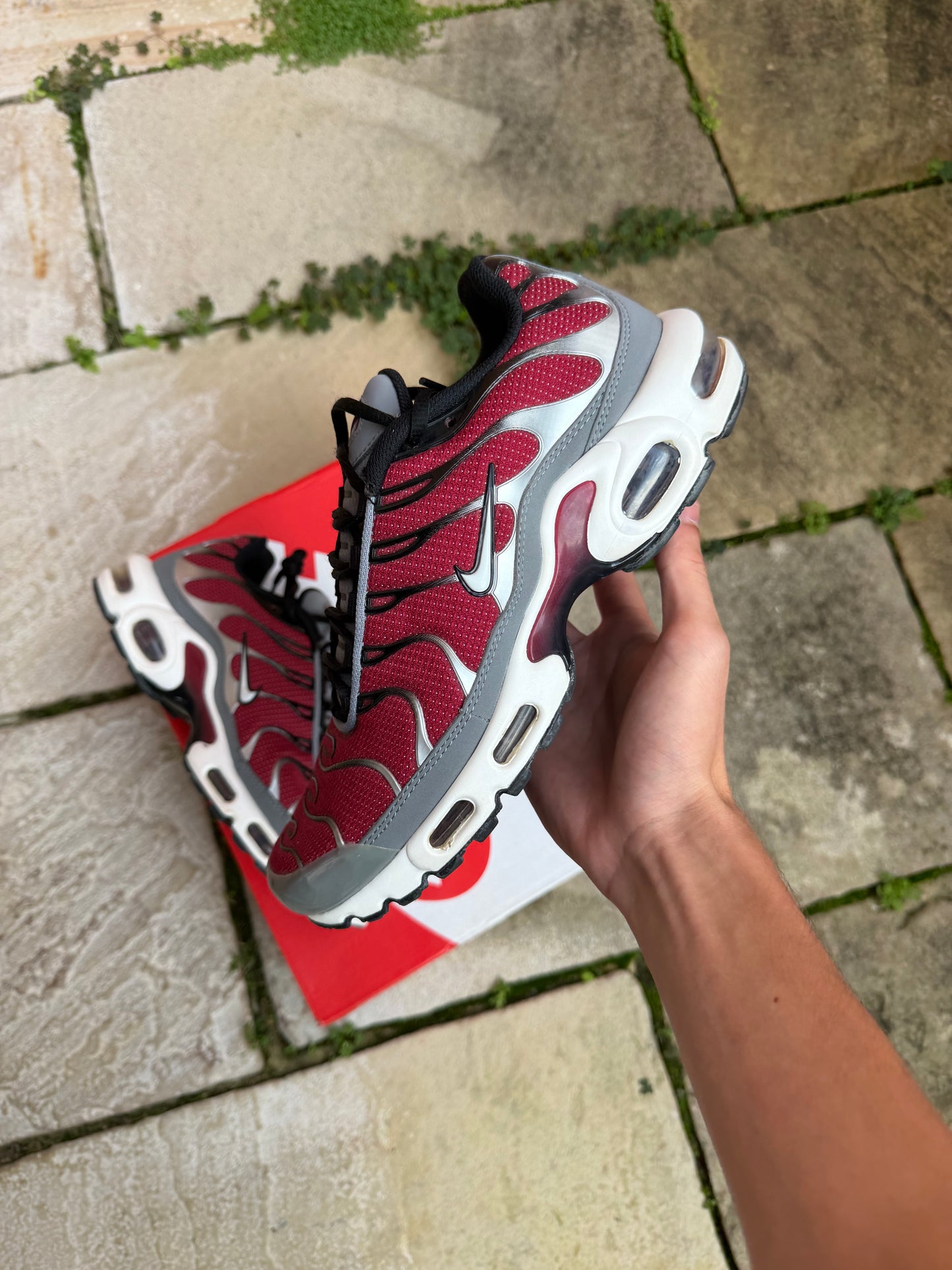 Nike Air Max Plus "Burgundy/ Team Red" US8 Men's