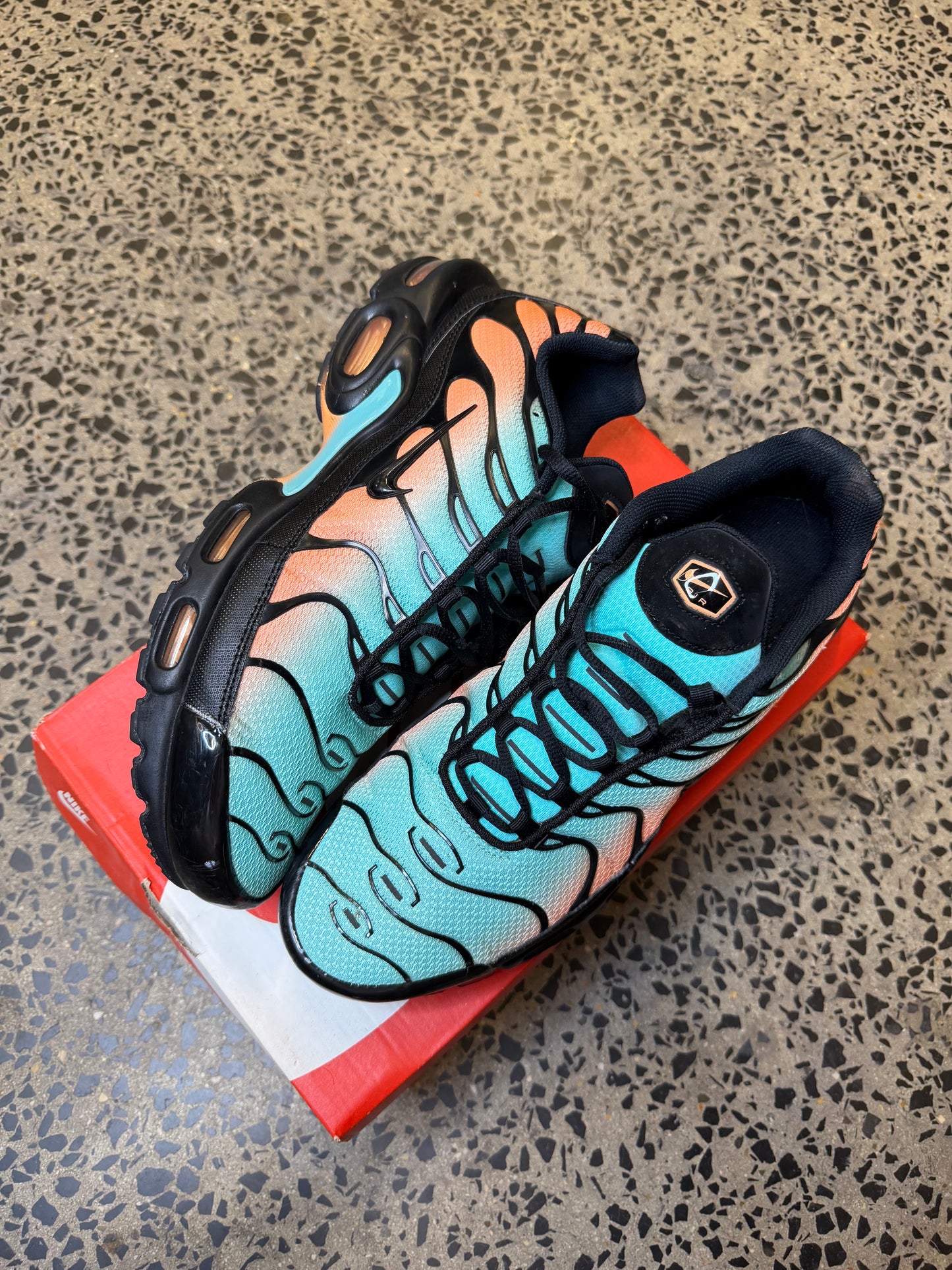 Nike Air Max Plus South Beach US12 Men's