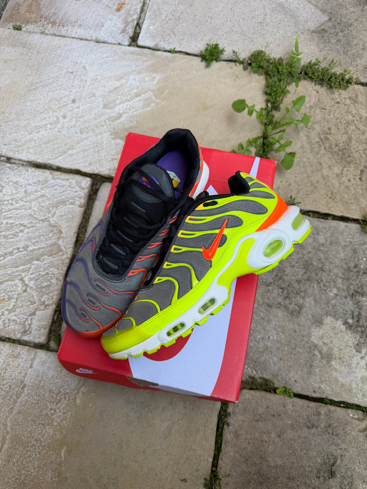 Nike Air Max Plus “Dark Colourflips” US9 Men’s