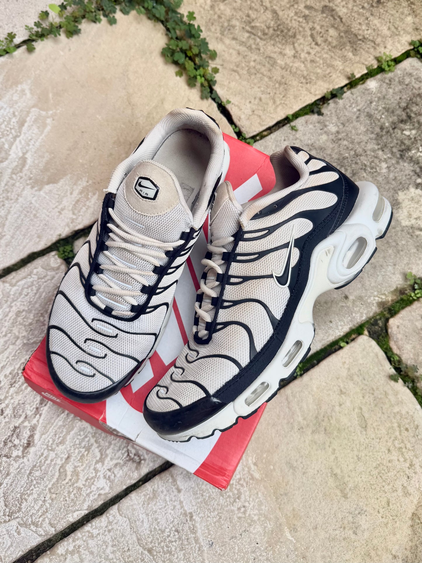 Nike Air Max Plus "Panda" US12 Men's