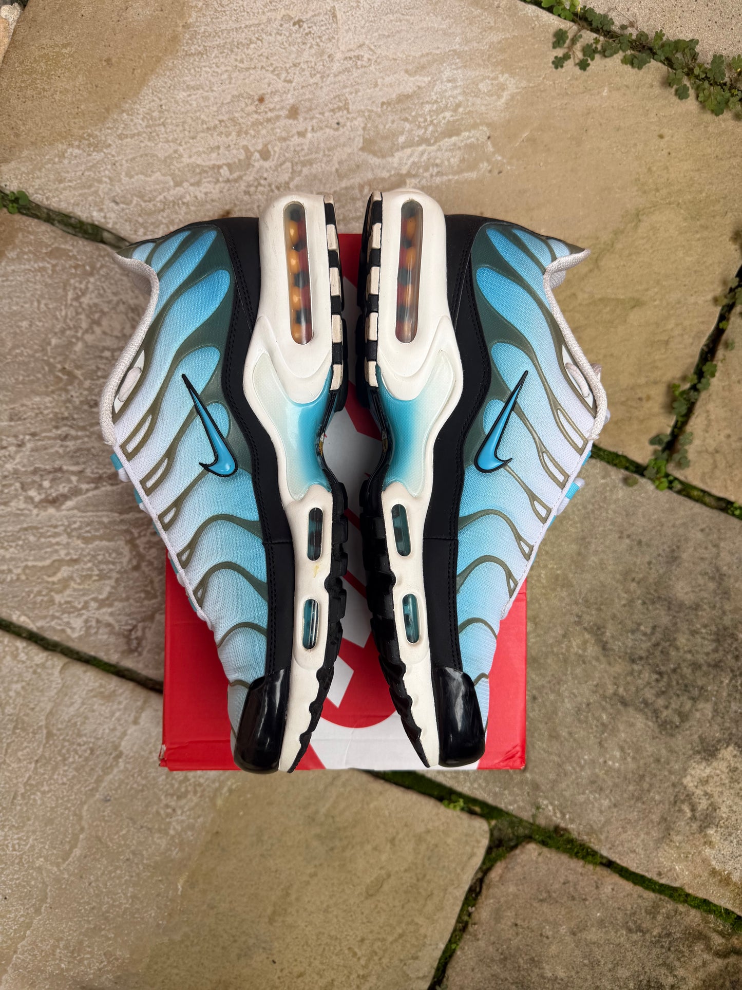 Nike Air Max Plus “Baltic Blue” US12 Men’s