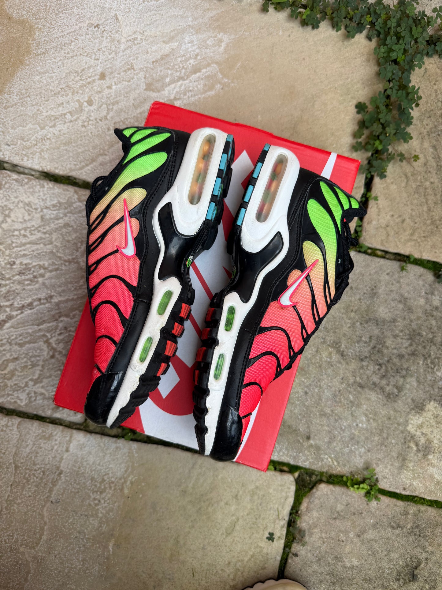 Nike Air Max Plus "Dark WorldWide" US9 Men's