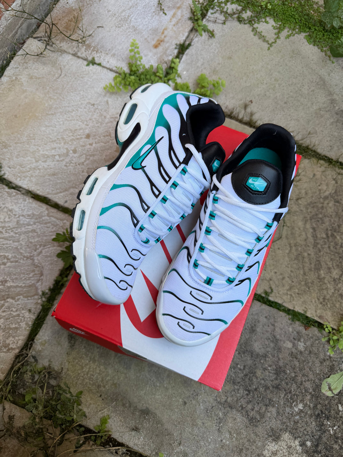 Nike Air Max Plus “Turbo” US10.5 Men’s