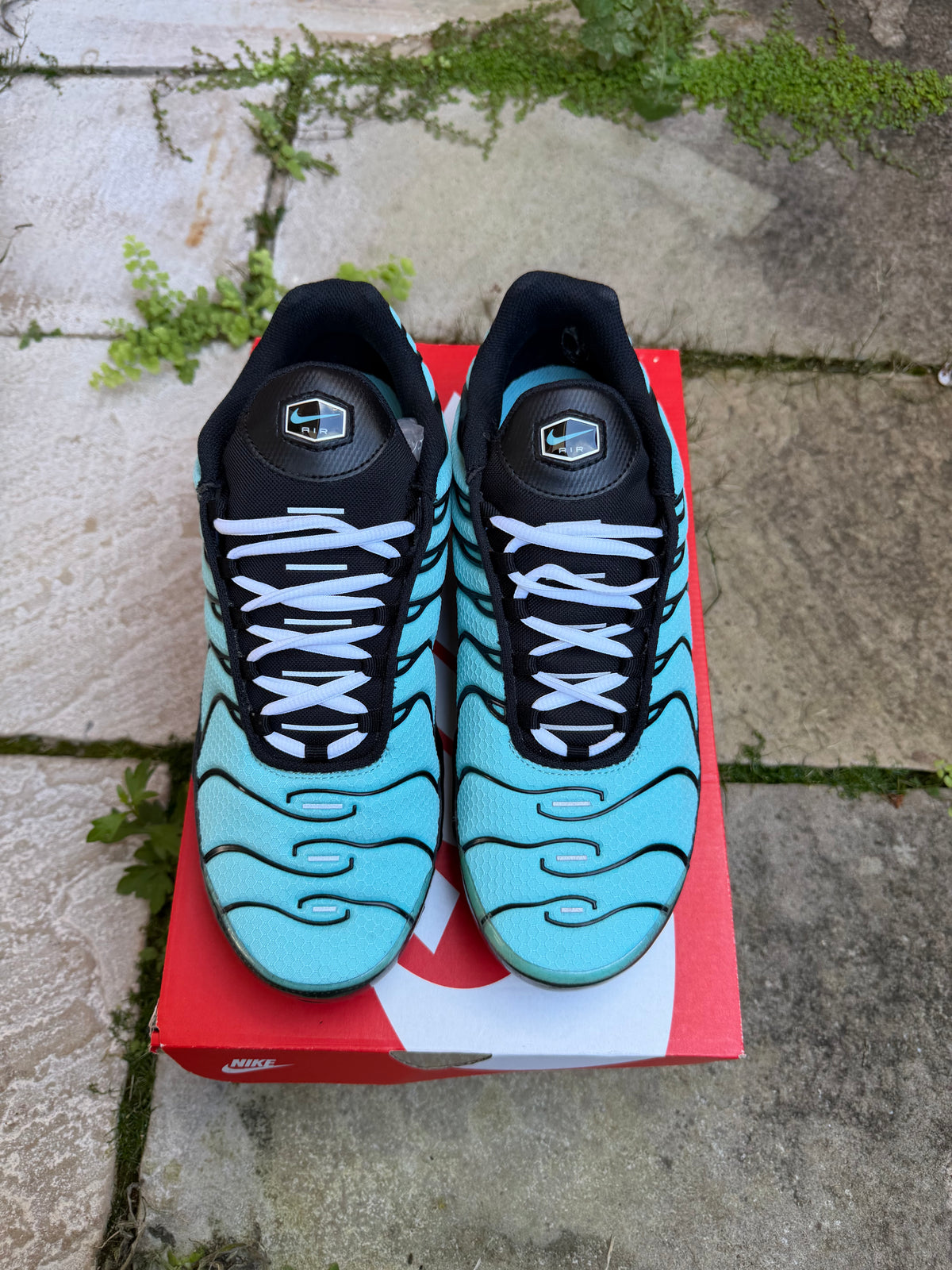 Nike Air Max Plus "Dark Tiffany" US10 Men's