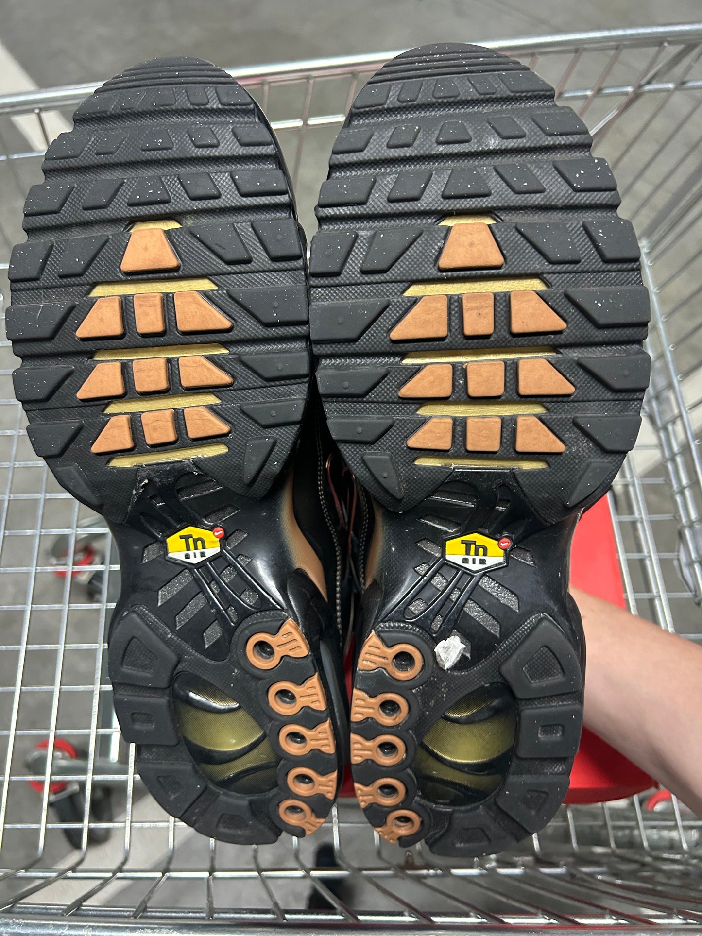 Nike Air Max Plus Scarabs Men’s US10