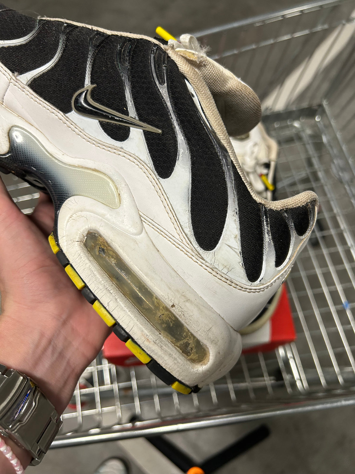 Nike Air Max Plus Killer Whales US12