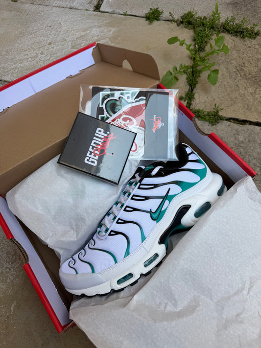 Nike Air Max Plus x GEEDUP “Turbos” US10 Men’s