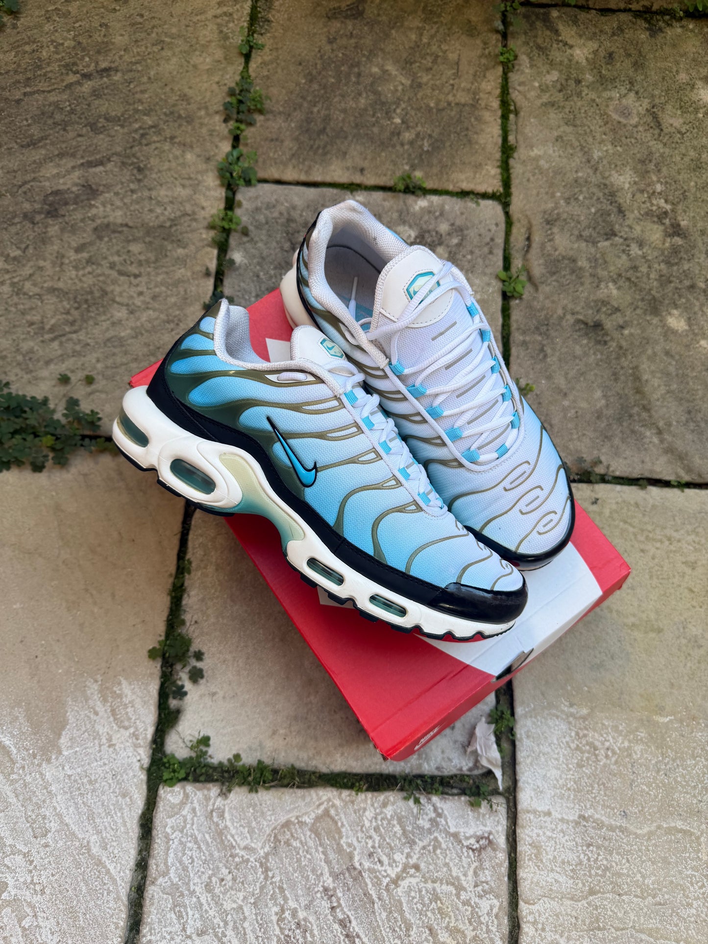 Nike Air Max Plus "Baltic Blue" US11.5 Men's