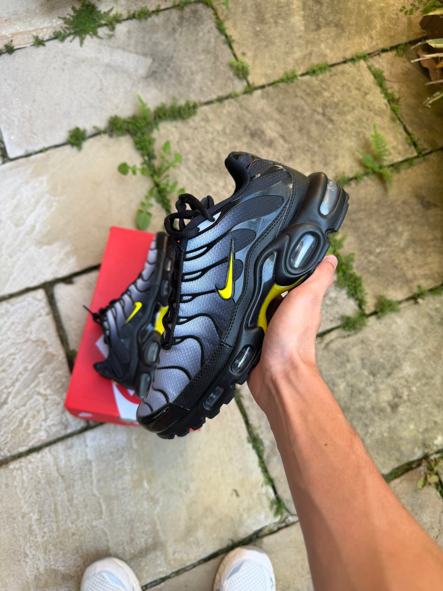 Nike Air Max Plus “Wolf Grey Optic Yellow” US9 Men’s