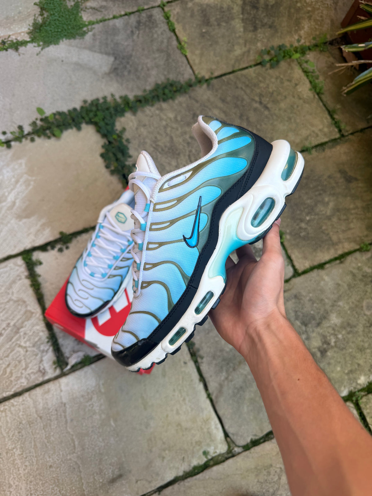 Nike Air Max Plus "Baltic Blue" US11.5 Men's