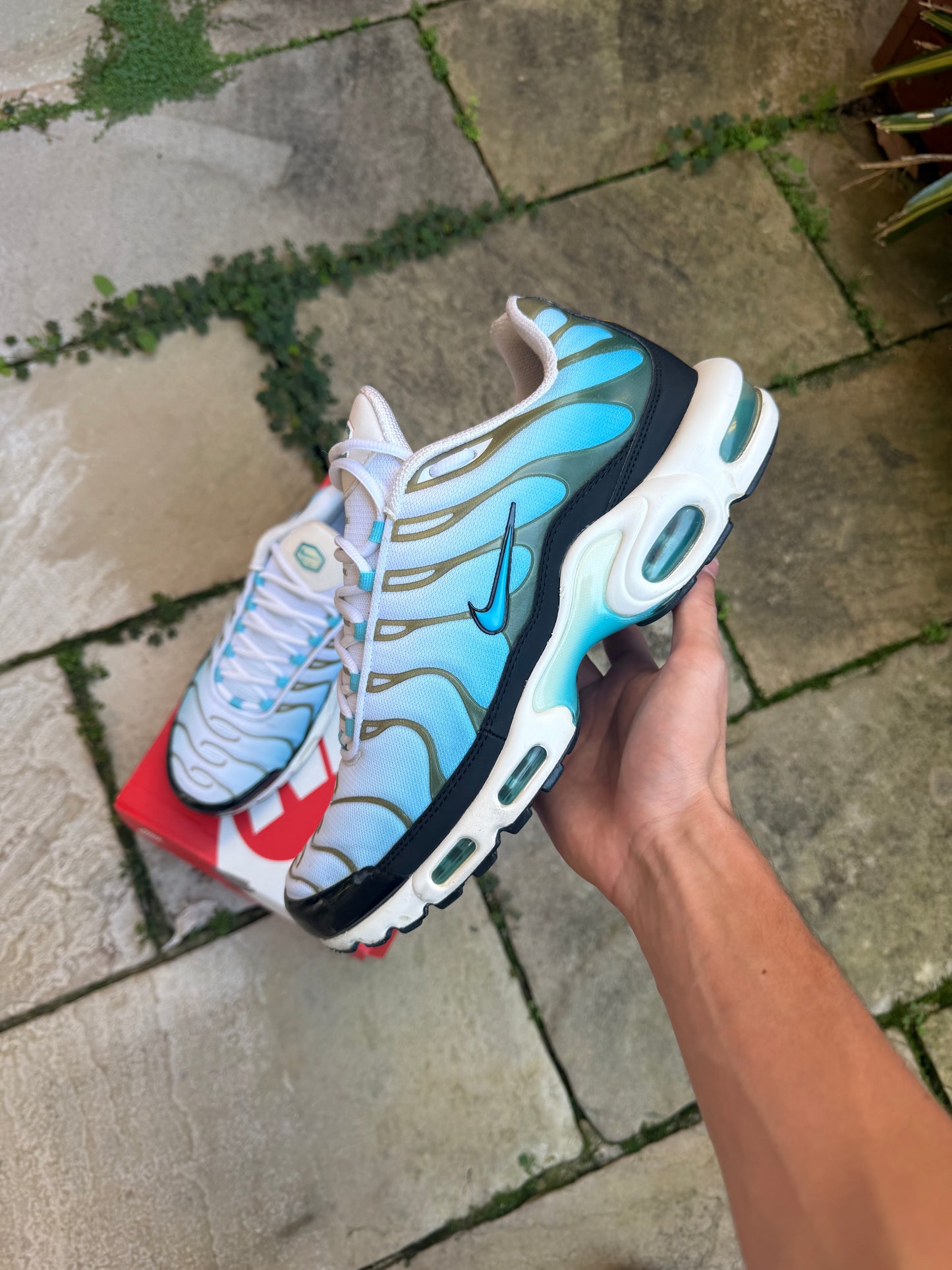 Nike Air Max Plus "Baltic Blue" US11.5 Men's