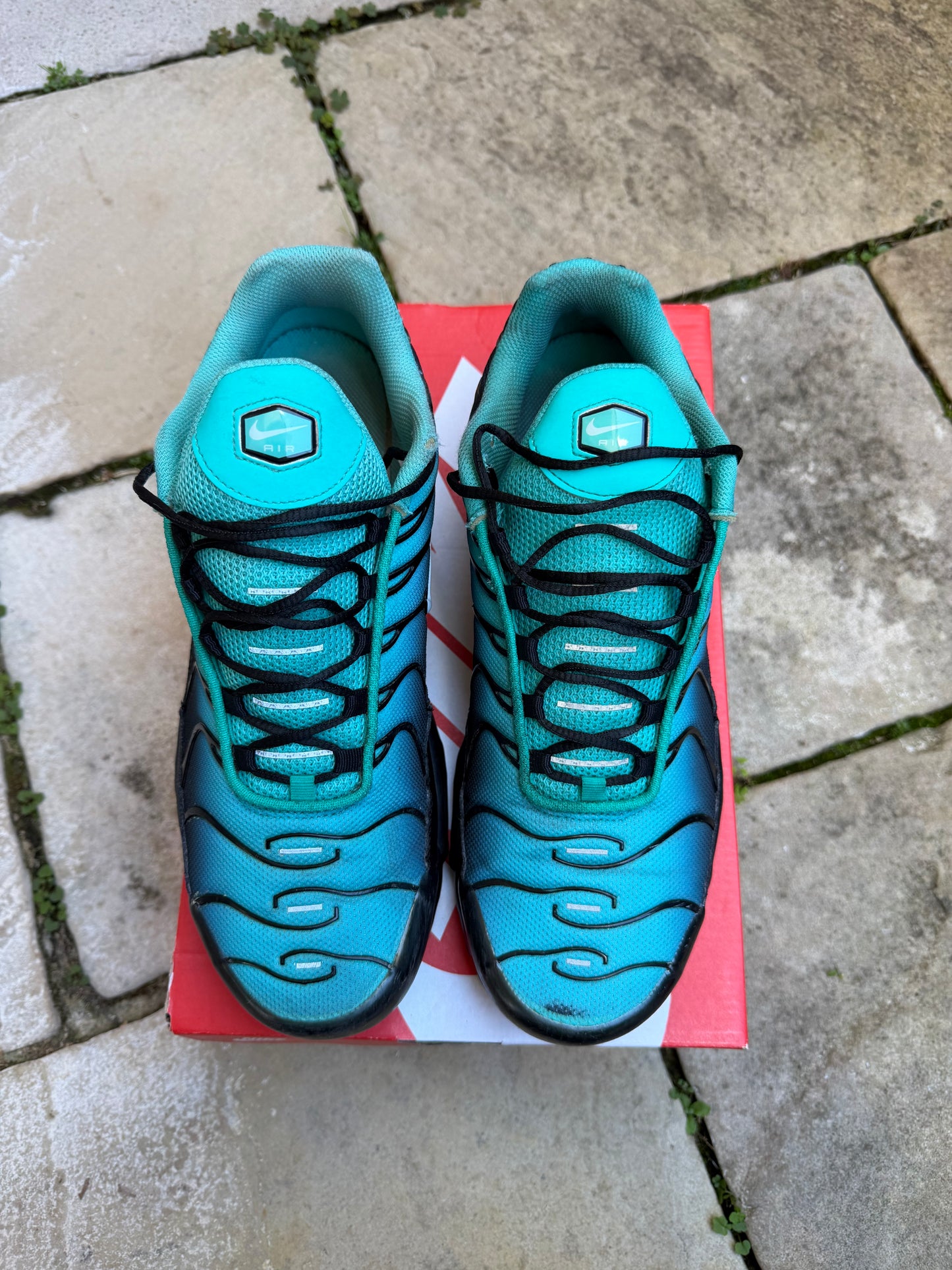 Nike Air Max Plus "Aqua Fade" US11 Men's