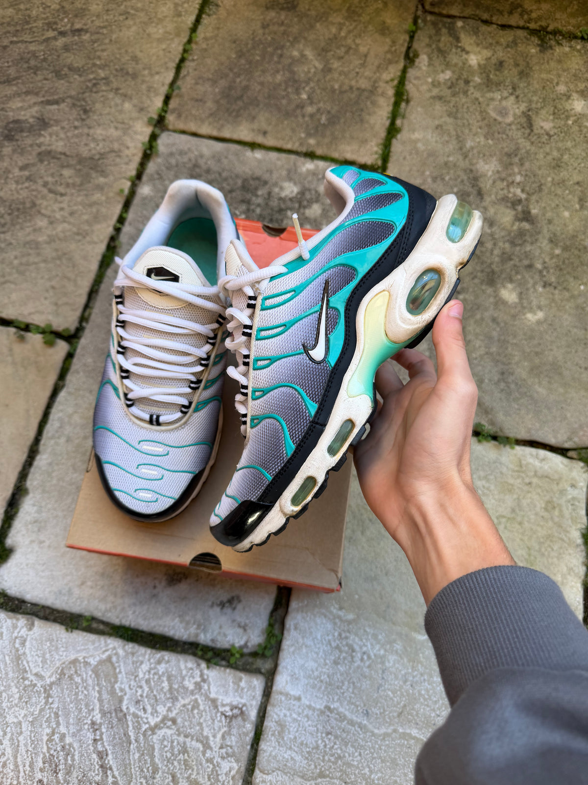 Nike Air Max Plus “Poisons” (2014) US9 Men’s