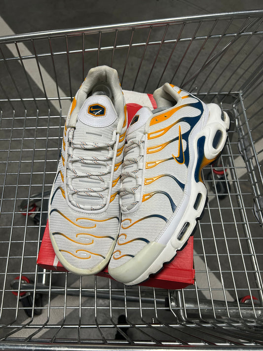 Nike Air Max Plus Kumquat Men’s US12