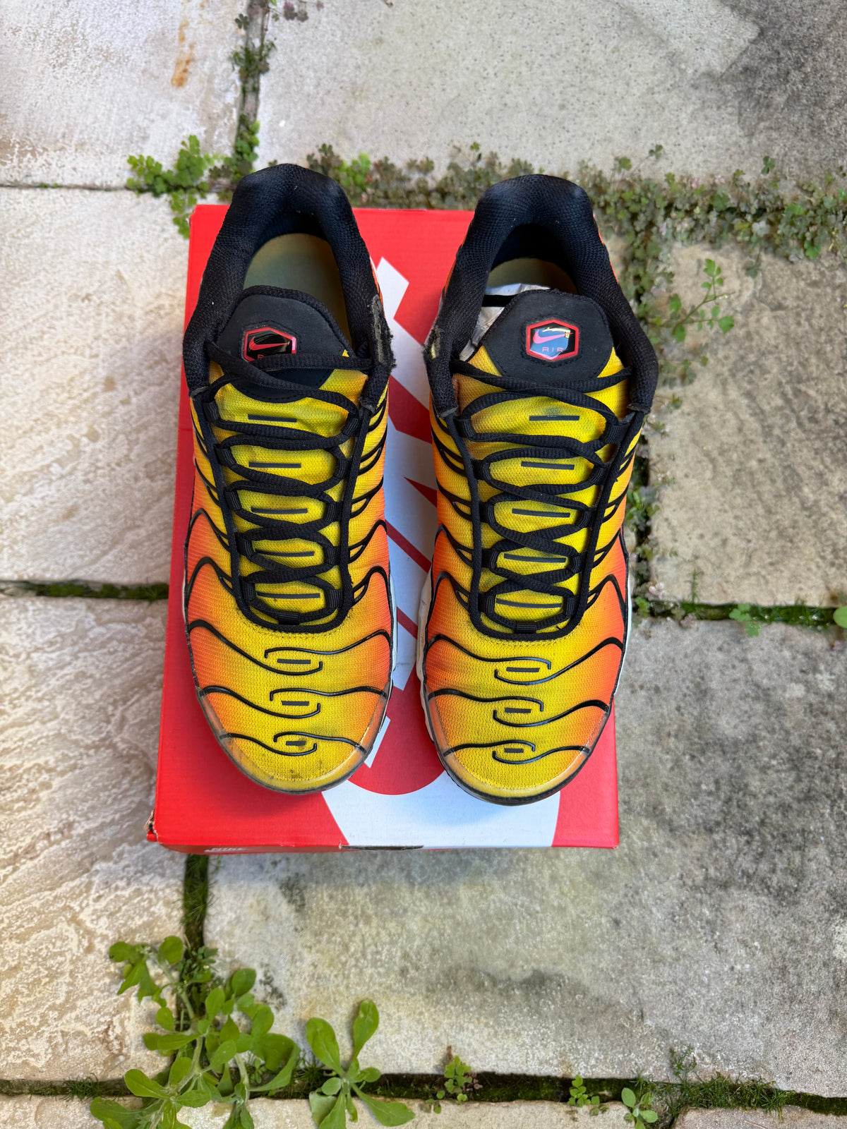 Nike Air Max Plus “Tiger” (2024) US10 Men’s