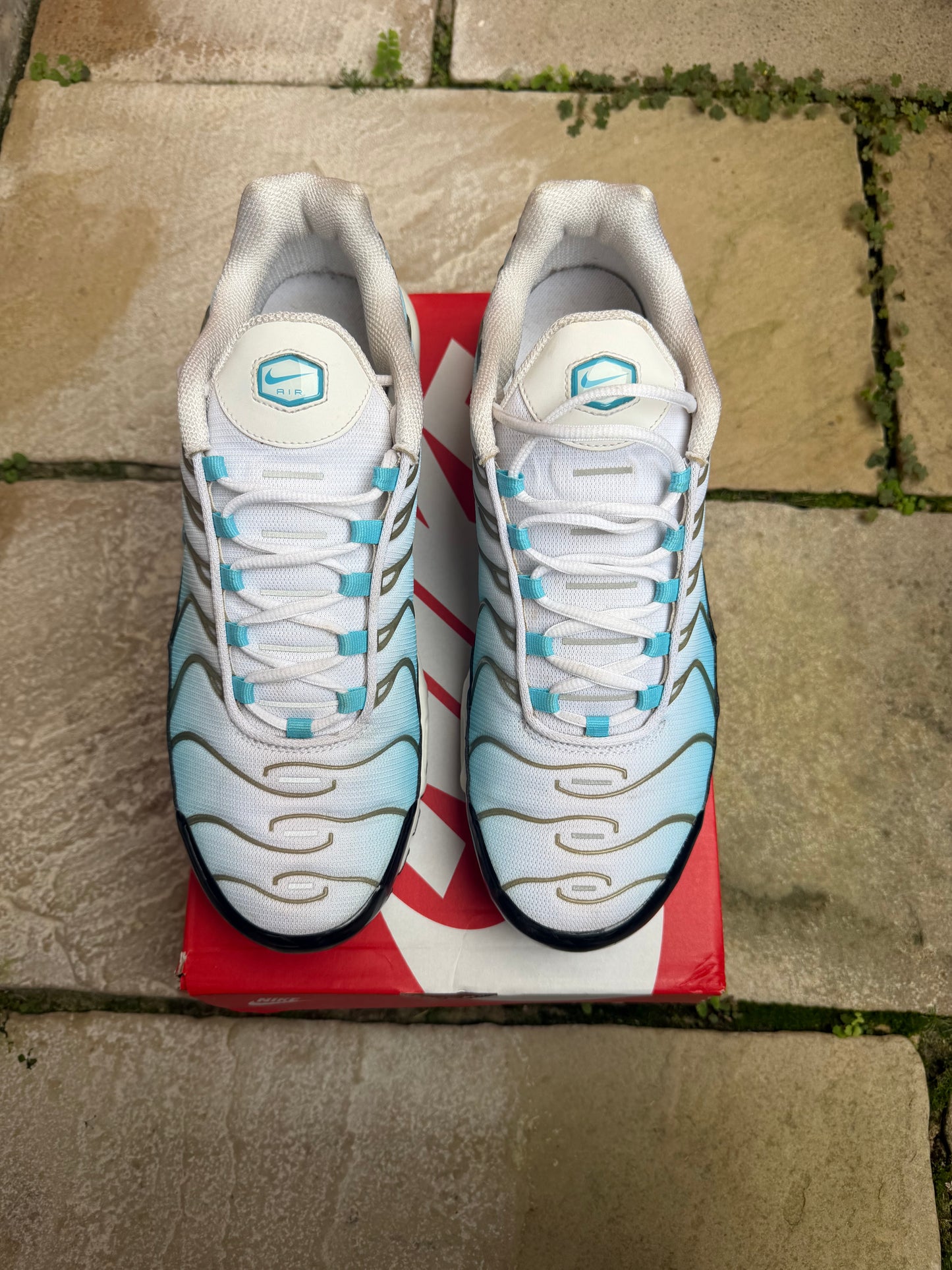 Nike Air Max Plus “Baltic Blue” US12 Men’s