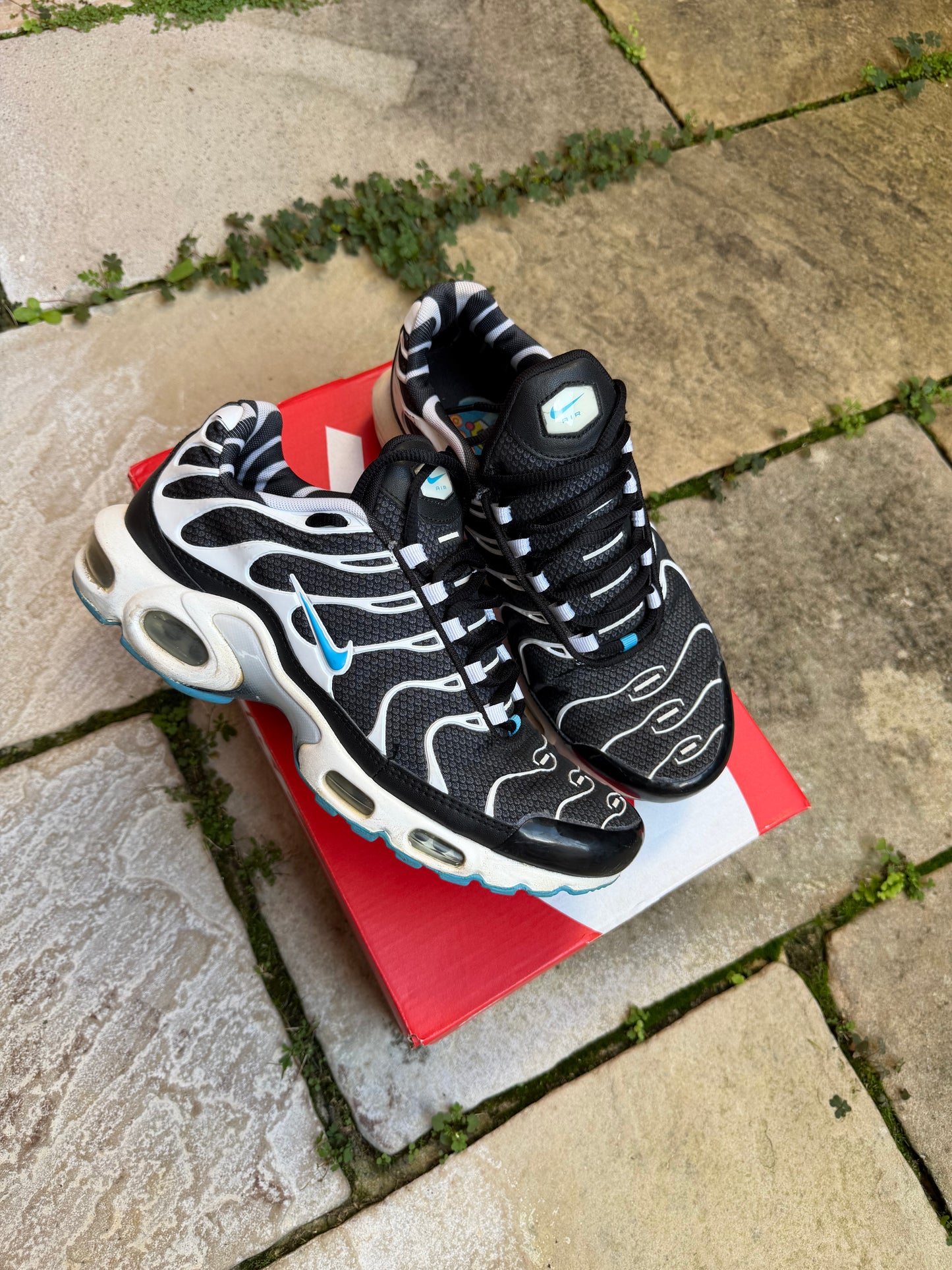 Nike Air Max Plus "Vivid" (2013) US8.5 Men's