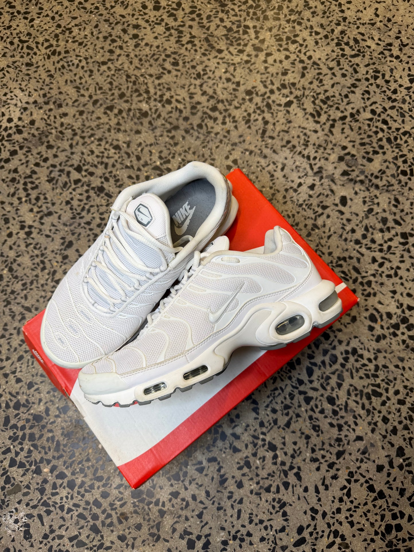 Nike Air Max Plus Casper US9 Men's