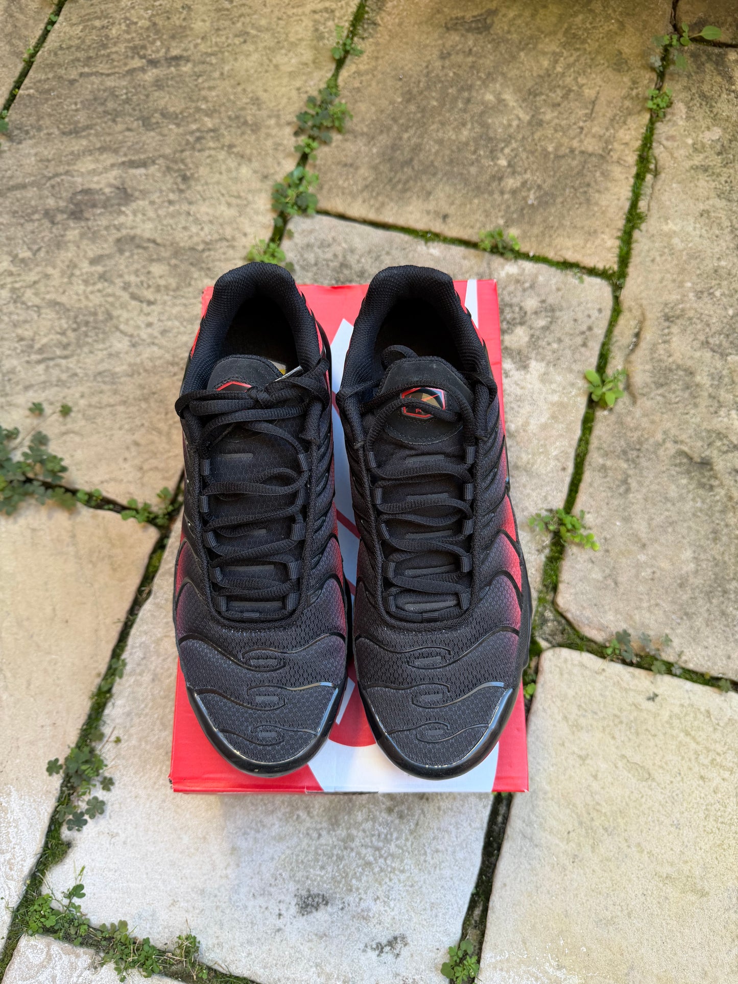 Nike Air Max Plus "Gradient Bred" US8.5 Men's