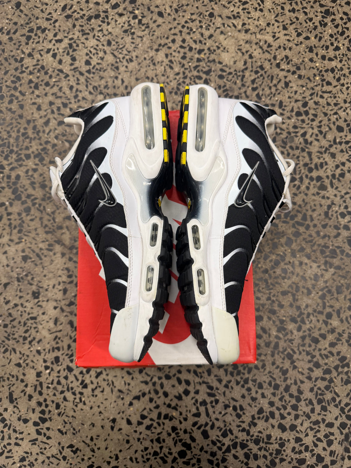 Nike Air Max Plus “Killer Whales” US13 Men’s
