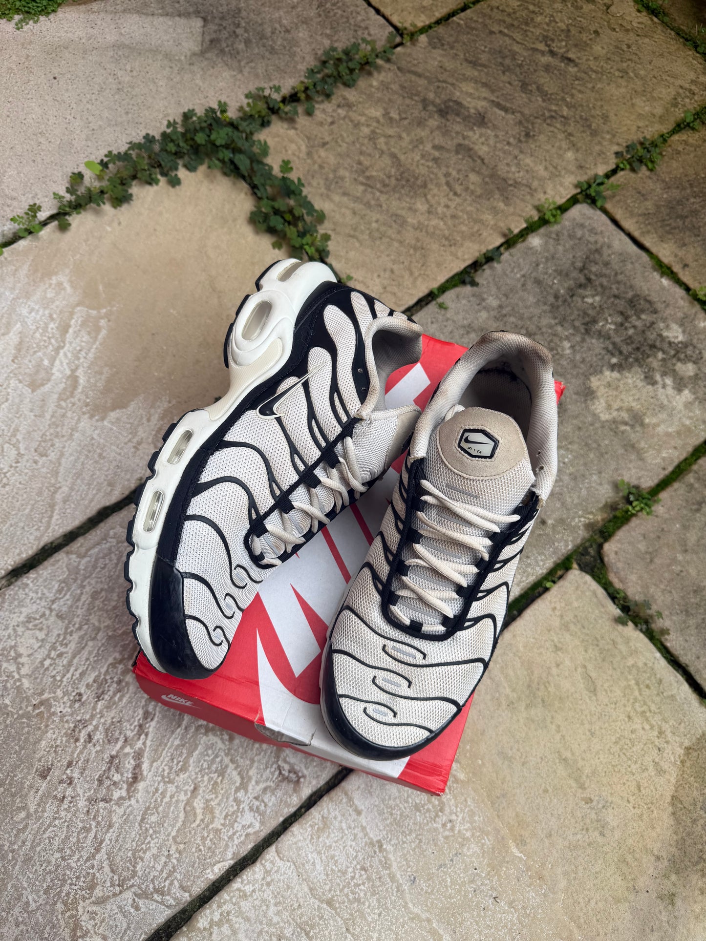Nike Air Max Plus "Panda" US12 Men's