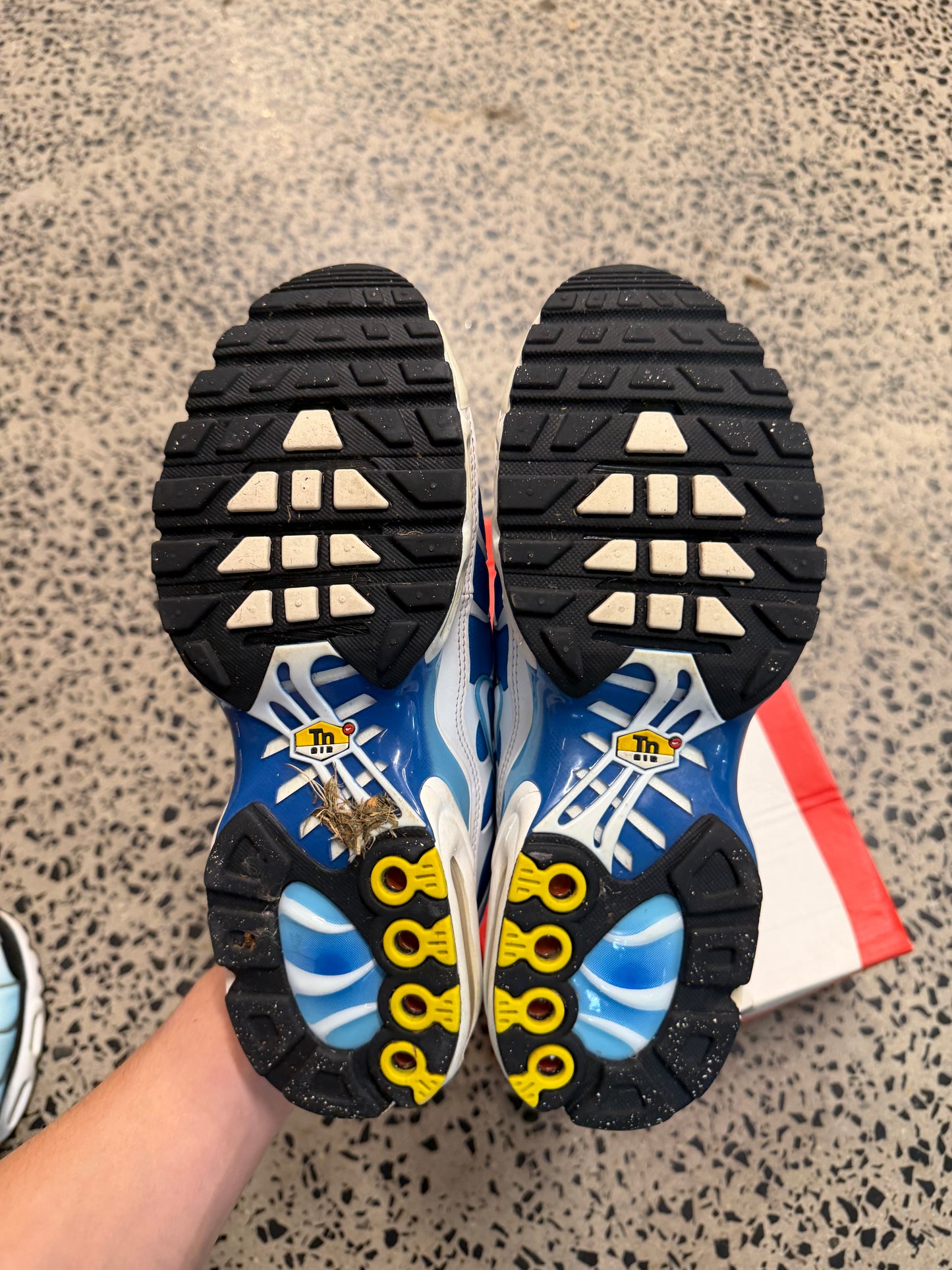 Nike Air Max Plus Battle Blues US8.5 Men’s