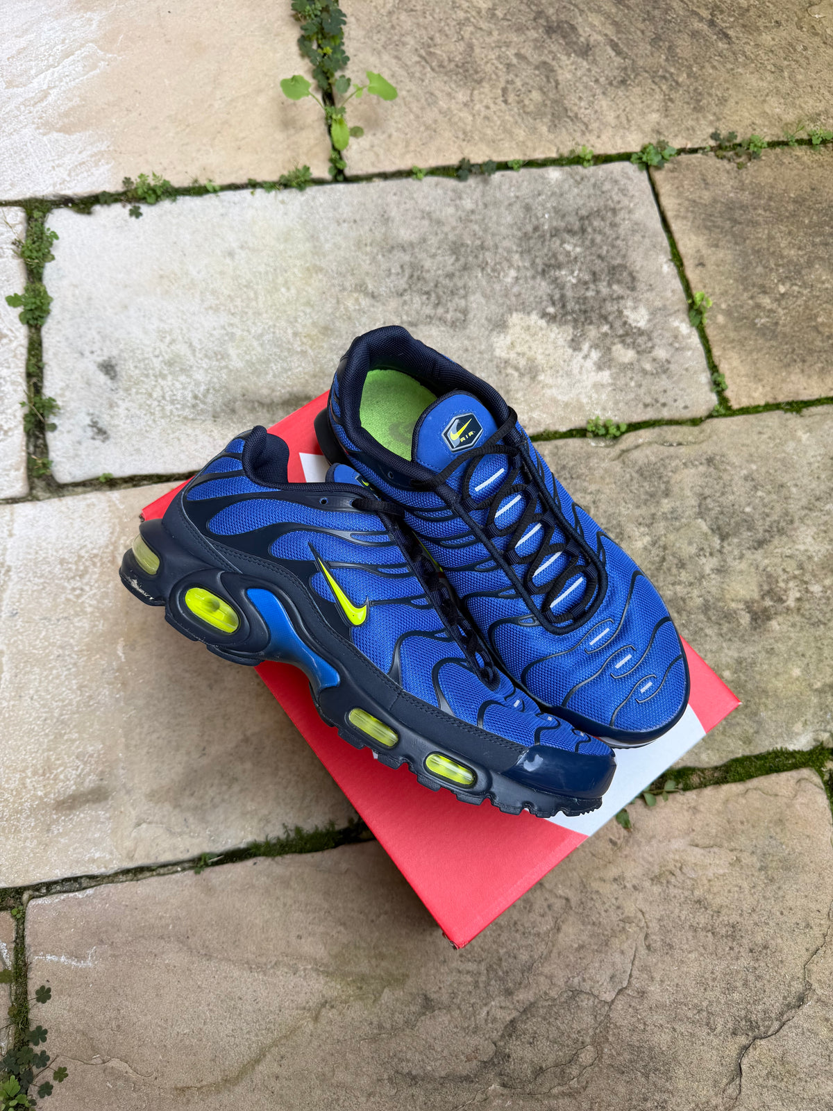 Nike Air Max Plus “Hyper Royal Volt” US11 Men’s