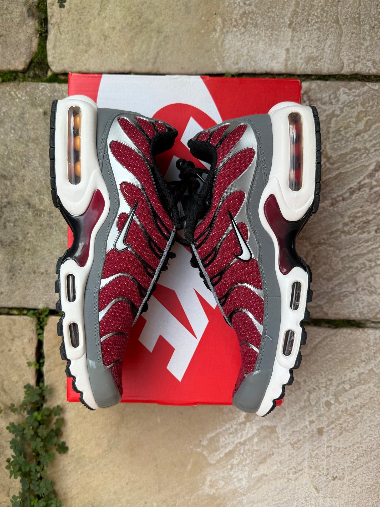 Nike Air Max Plus "Burgundy/ Team Red" US8 Men's