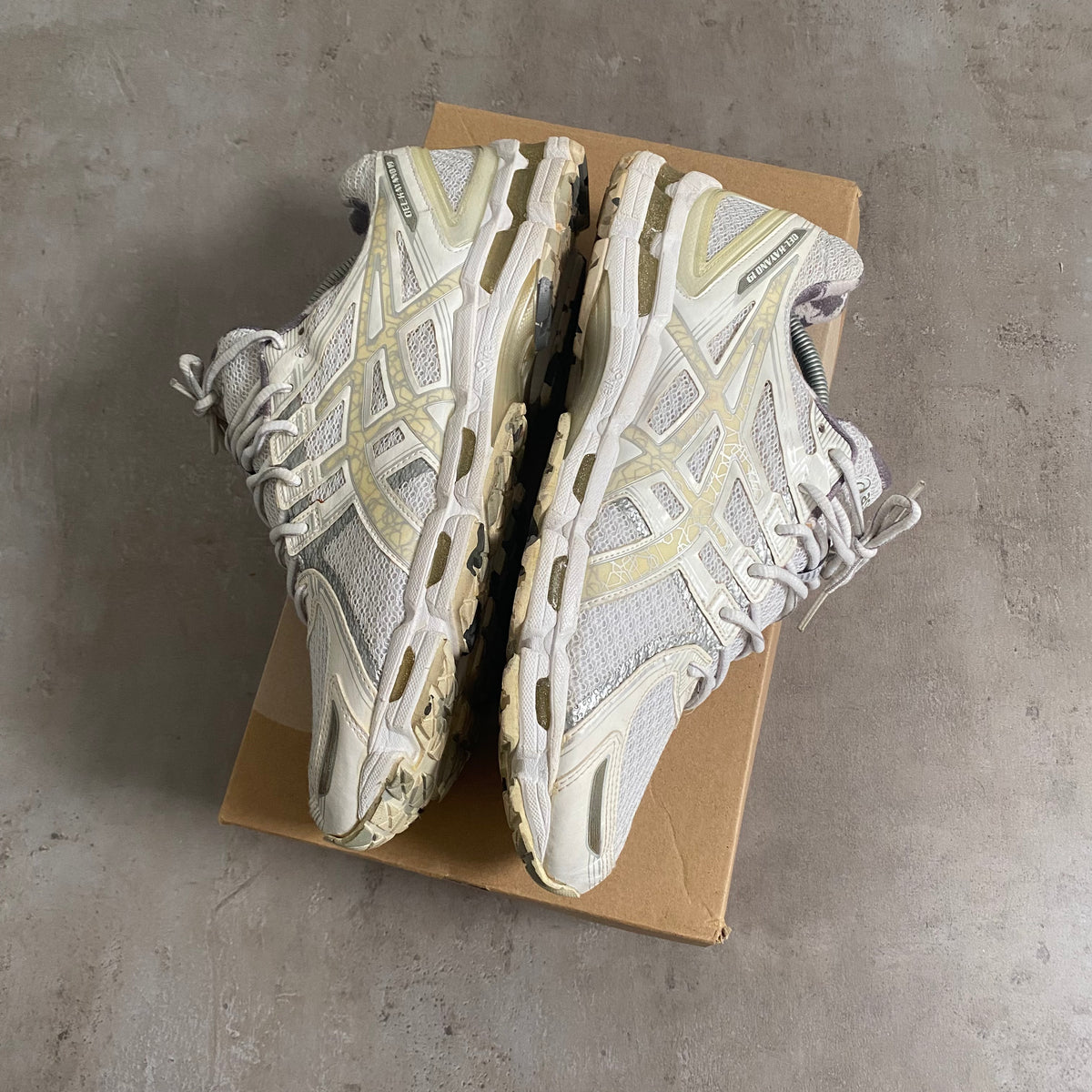 ASICS Gel Kayano 19 "Snow Camos" US11 Men's