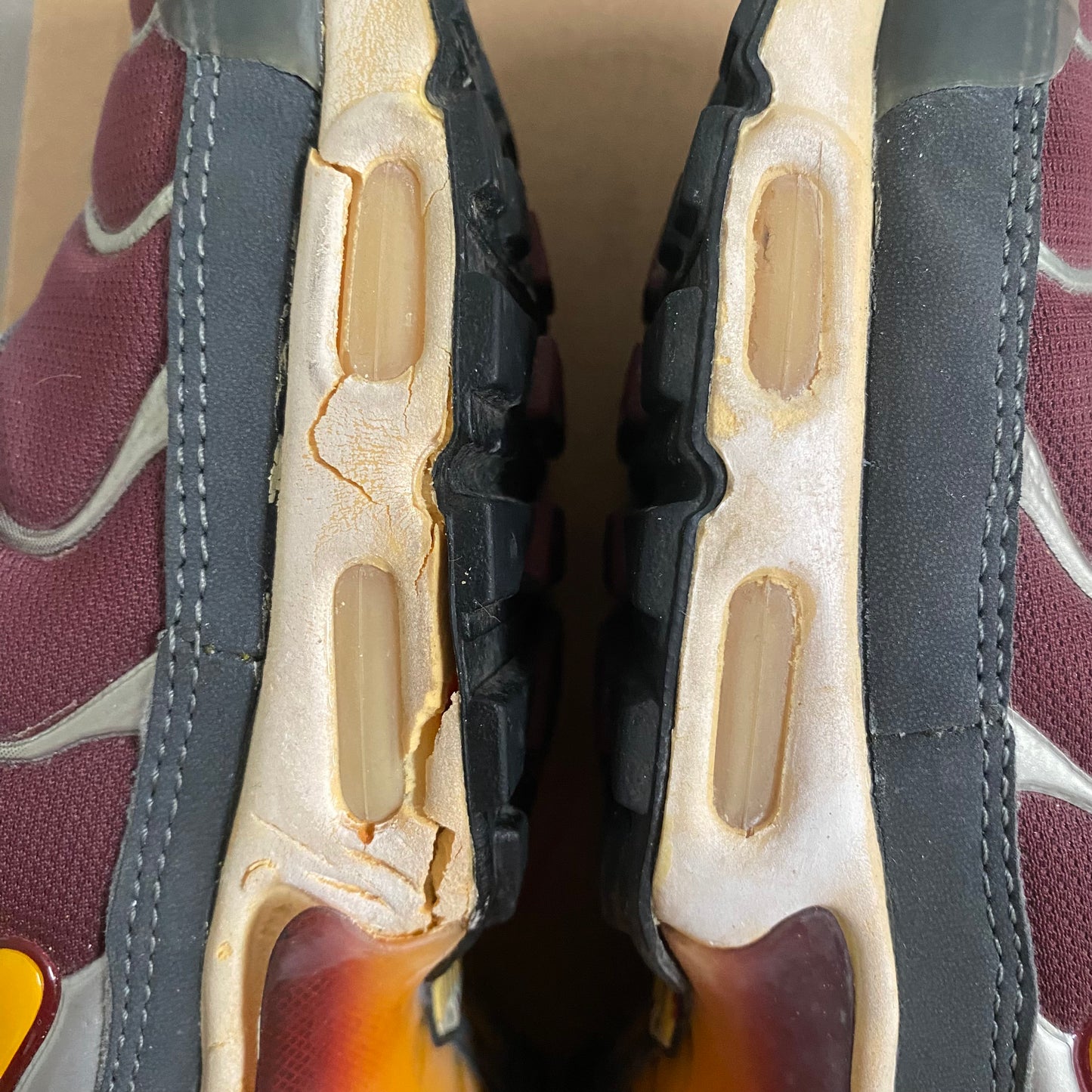 Nike Air Max Plus "Burgundy" (2002) US10 Men's