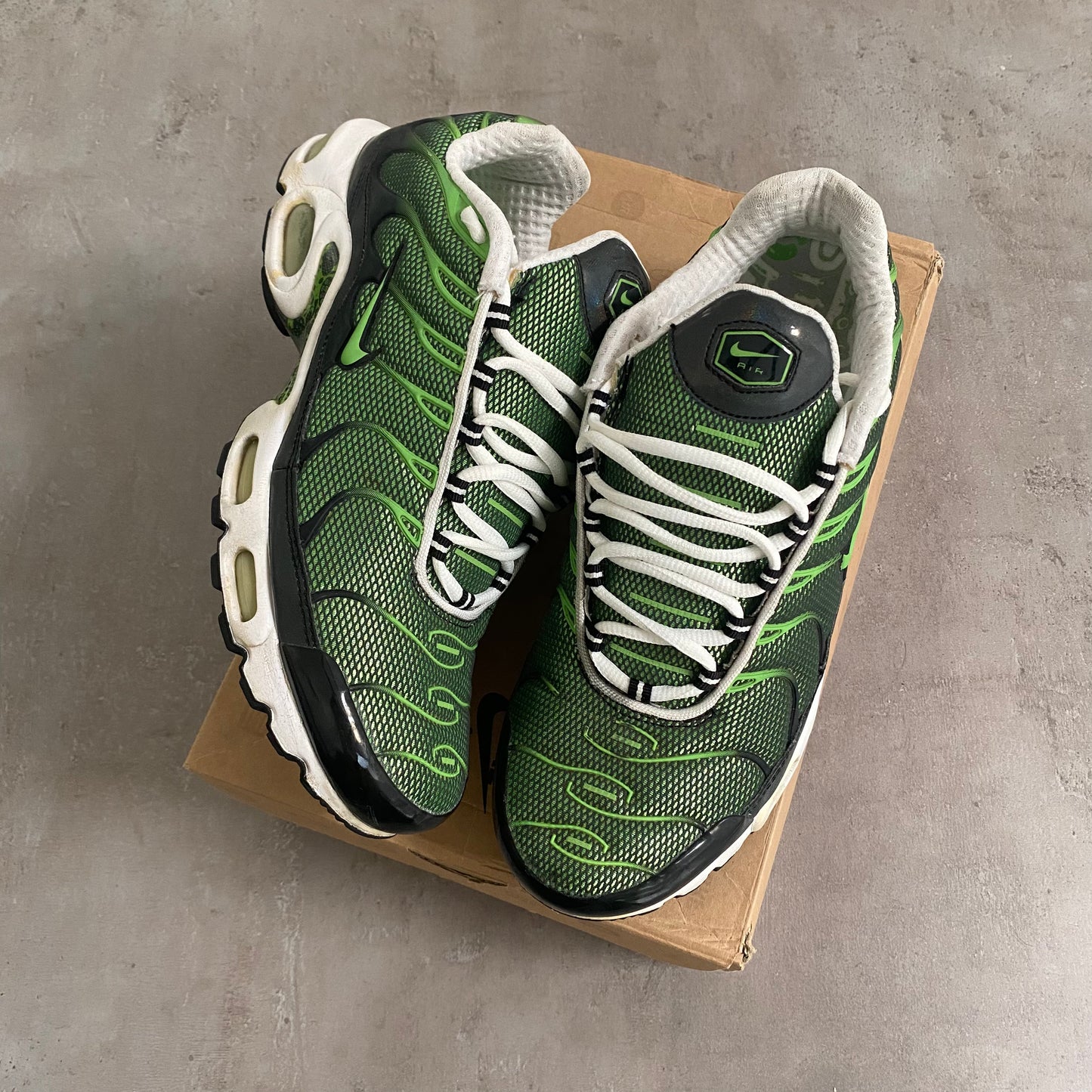 Nike Air Max Plus "Rejuvenation" (2006) US11 Men's