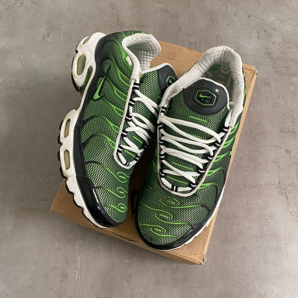 Nike Air Max Plus "Rejuvenation" (2006) US11 Men's